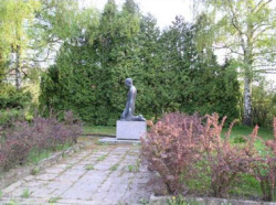 50 společných let podle kroniky